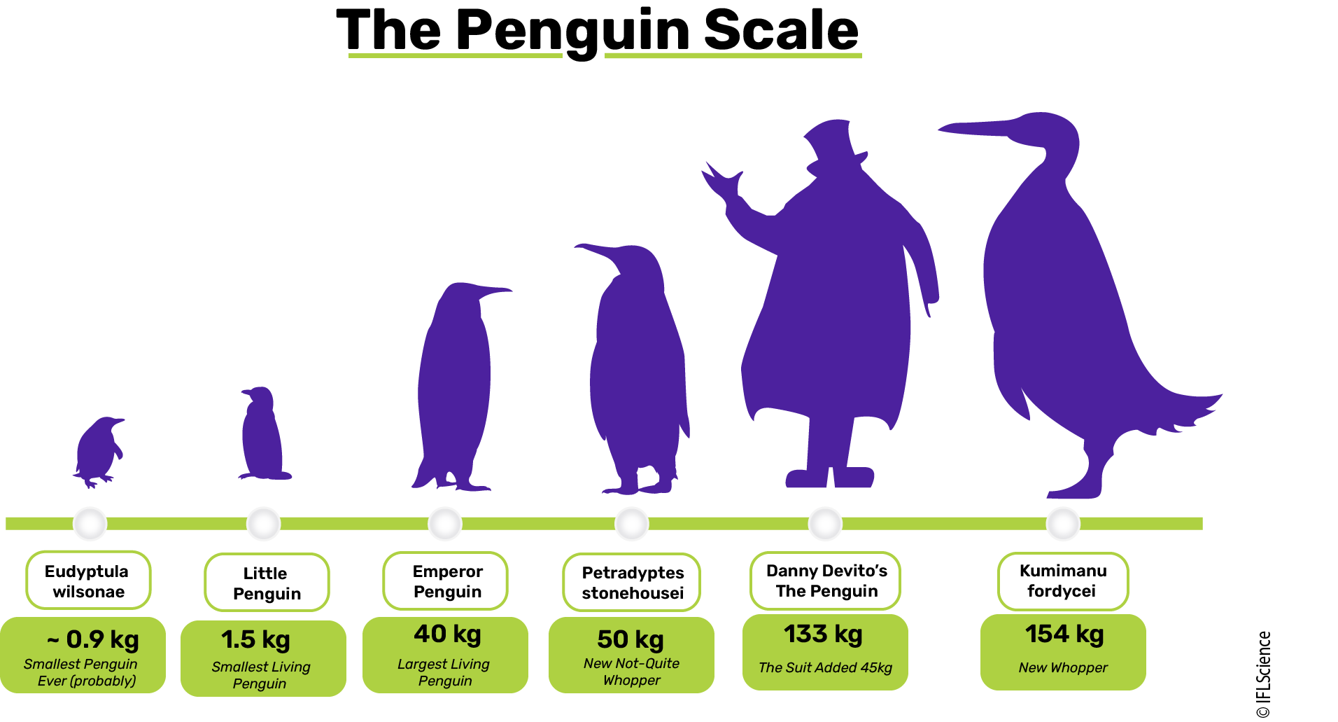 Penguin visual size comparison scale, including penguins living, extinct, and fictitious